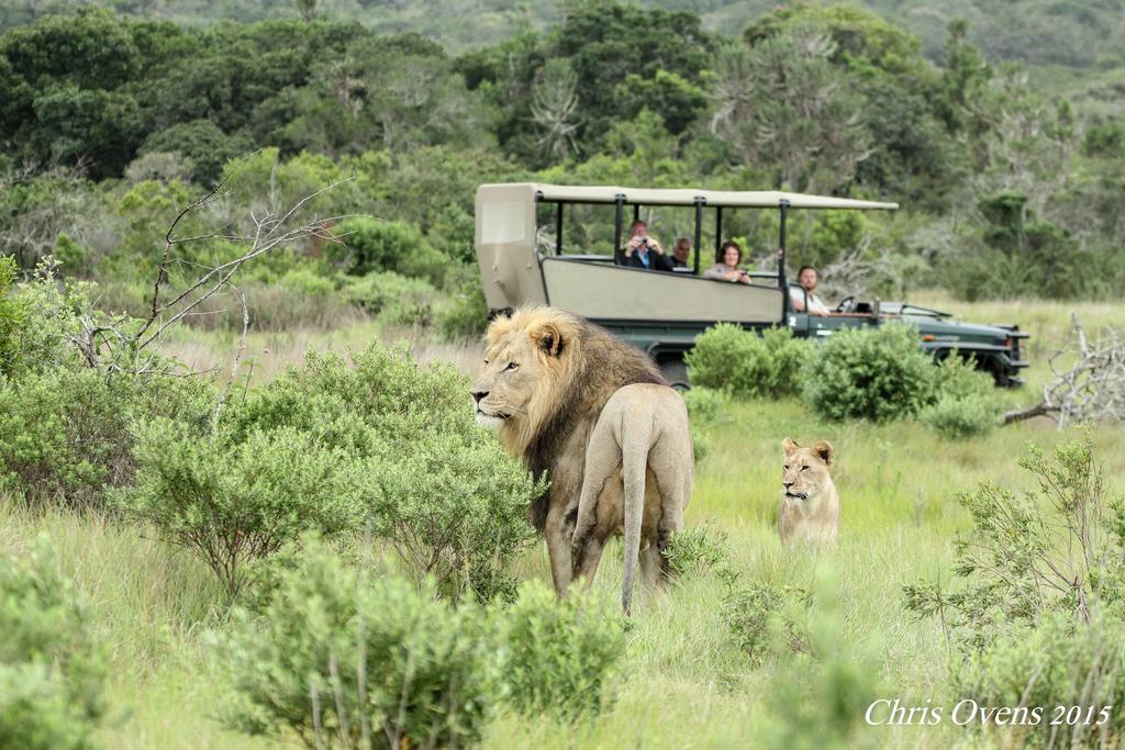 西布亚禁猎区旅舍 滨海肯顿 外观 照片